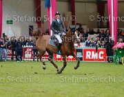 STAUT ESTOY AQUI LaBaule2013- S5 9792 : 2013, ESTOY AQUI, La Baule, STAUT KEVIN, foto di Stefano Secchi ©